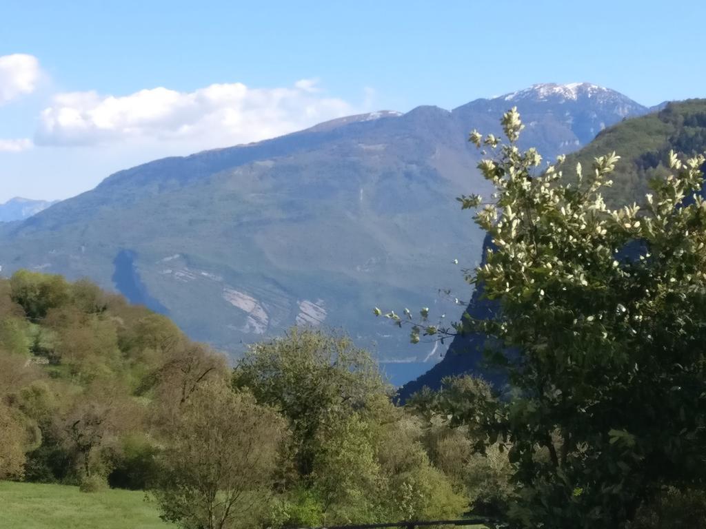 Garnì Al Laghet Hotel Tenno Buitenkant foto